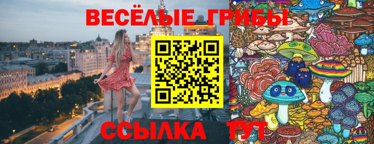 Псилоцибиновые грибы Cubensis Югорск
